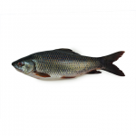 Deshi Nola Fish (নলা মাছ)