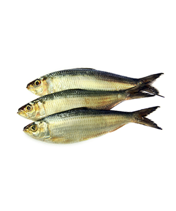 Chapila Fish (চাপিলা)